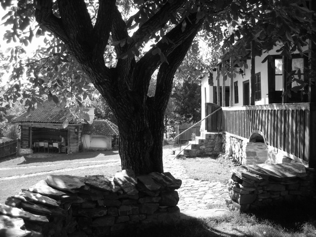 My New Blog at wolfemurray.com